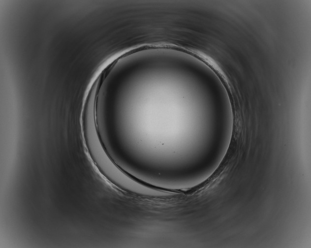 X0000087750959200705071110