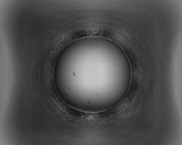 X0000087750961200705071110