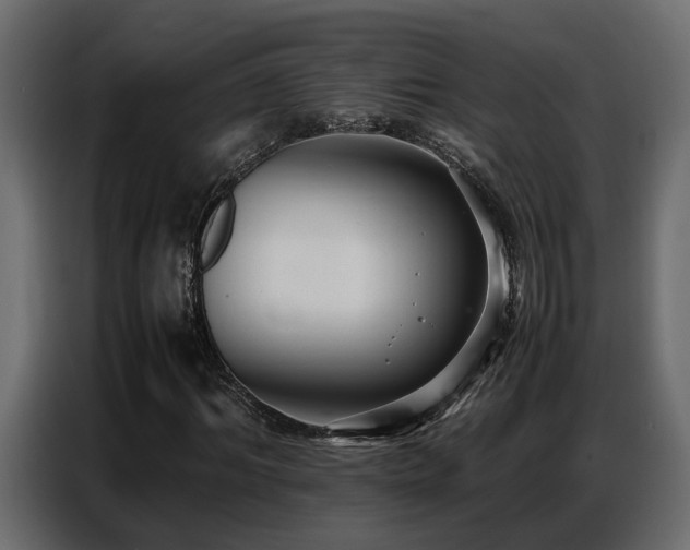 X0000087750964200705071110
