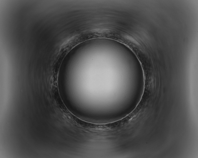 X0000087750966200705071110