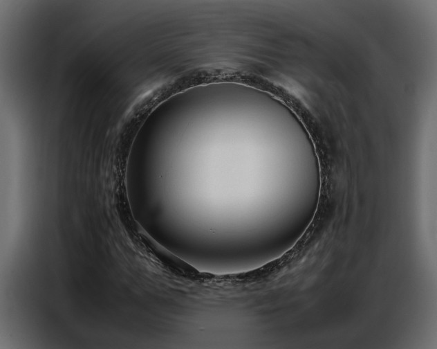 X0000087750967200705071110