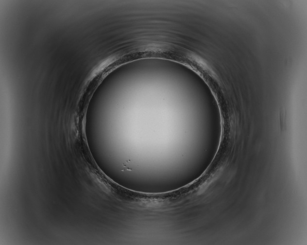 X0000087750970200705071110