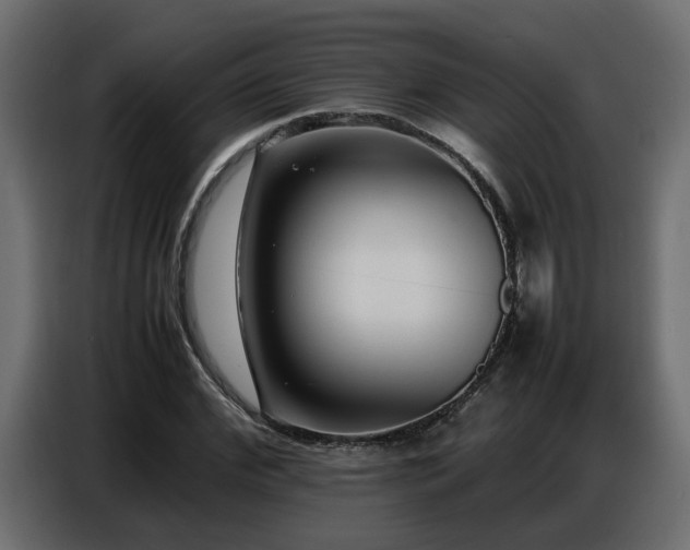 X0000087750972200705071110