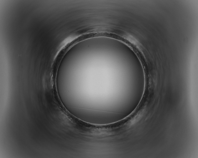 X0000087750973200705071110