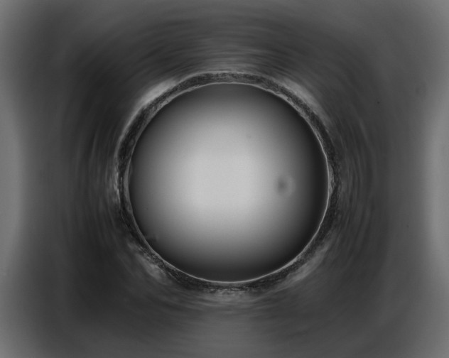 X0000087750974200705071110