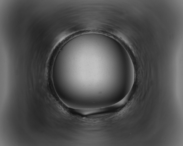 X0000087750975200705071110