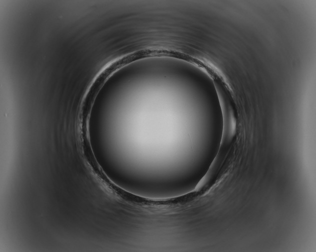 X0000087750976200705071110