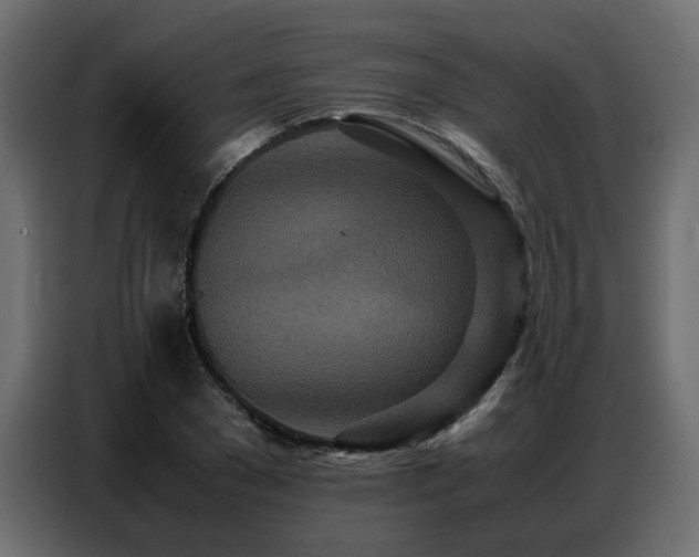 X0000087750977200705071110