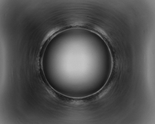 X0000087750978200705071110
