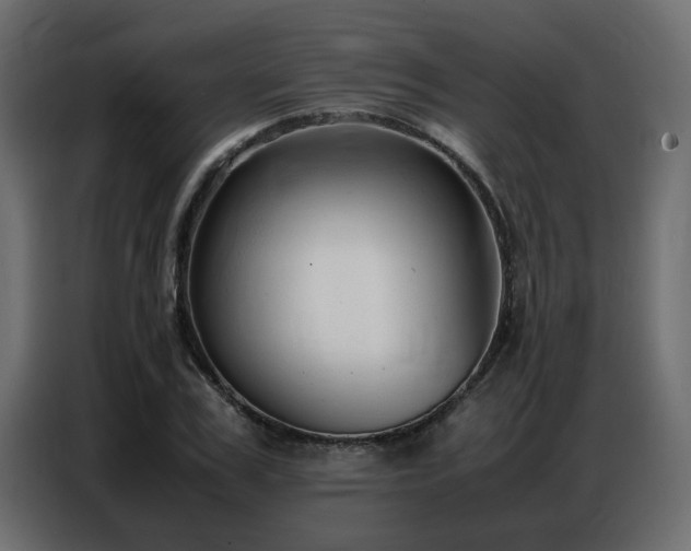X0000087750979200705071110