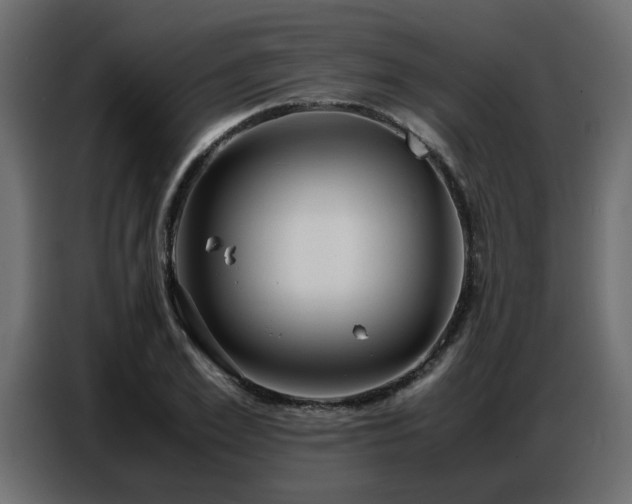 X0000087750981200705071110
