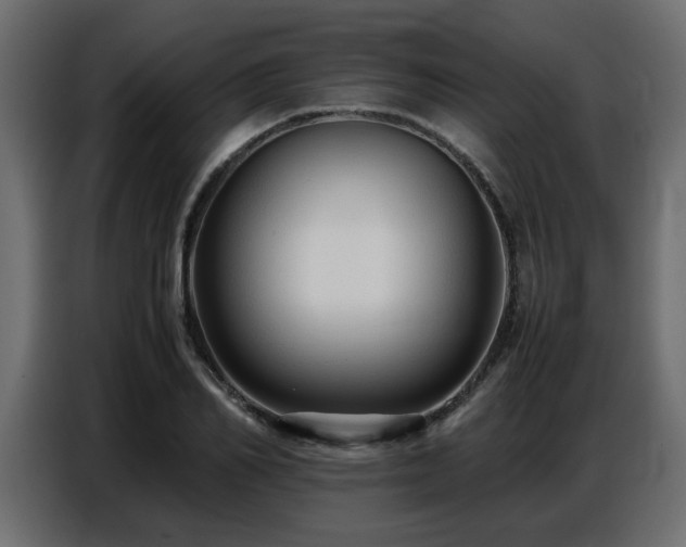 X0000087750982200705071109