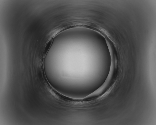X0000087750985200705071109