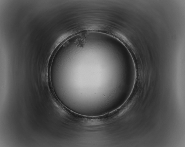 X0000087750986200705071109