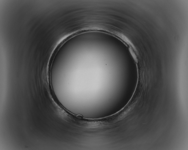 X0000087750988200705071109