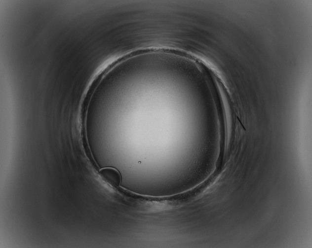 X0000087750990200705071109