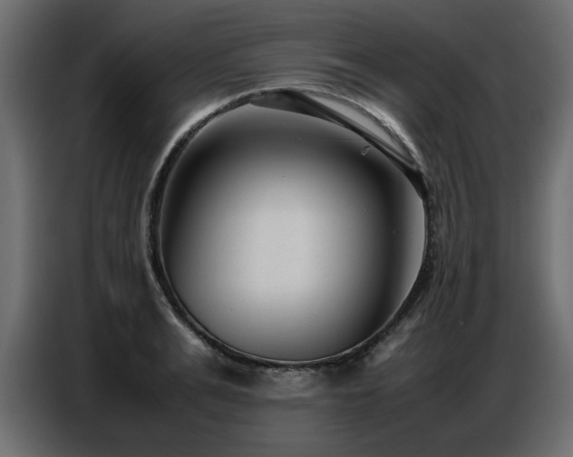X0000087750991200705071109