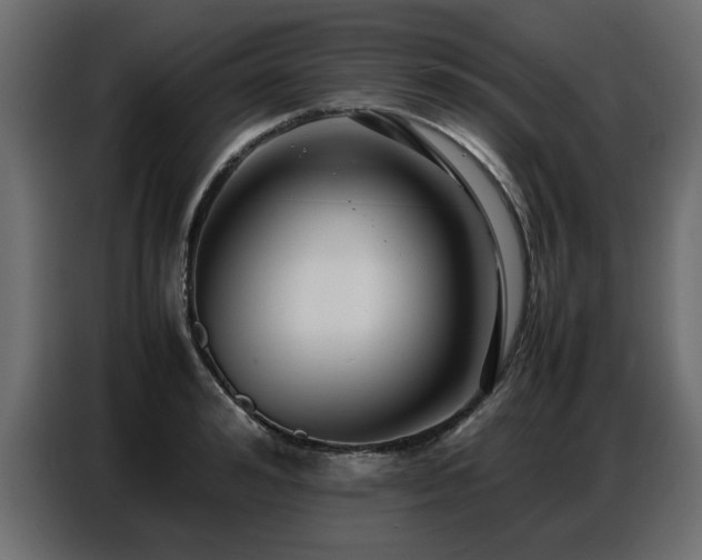 X0000087750992200705071109