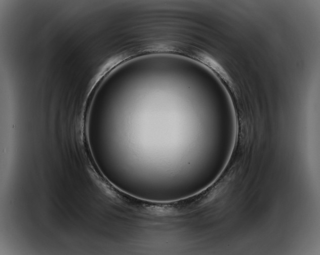 X0000087750994200705071109