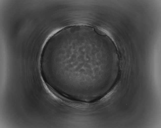 X0000087750995200705071109