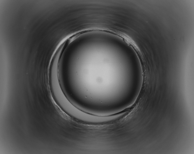 X0000087750996200705071109