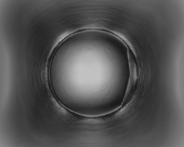 X0000087750998200705071109