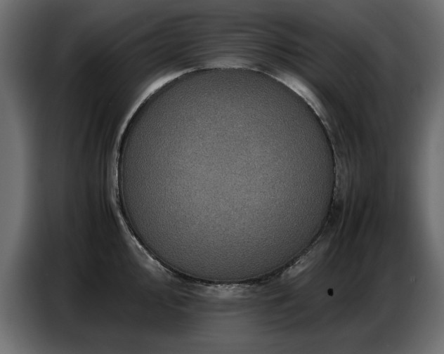 X0000087751000200705071109