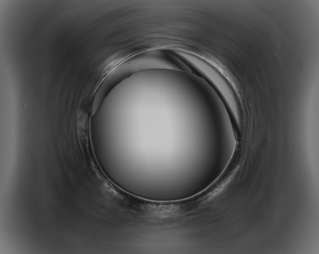 X0000087751001200705071109