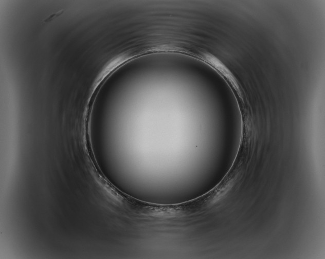 X0000087751002200705071109