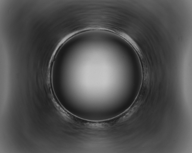 X0000087751004200705071109