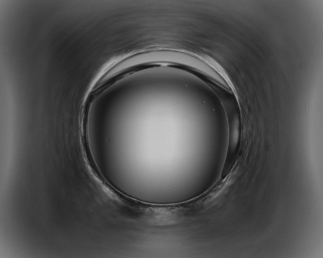 X0000087751005200705071109