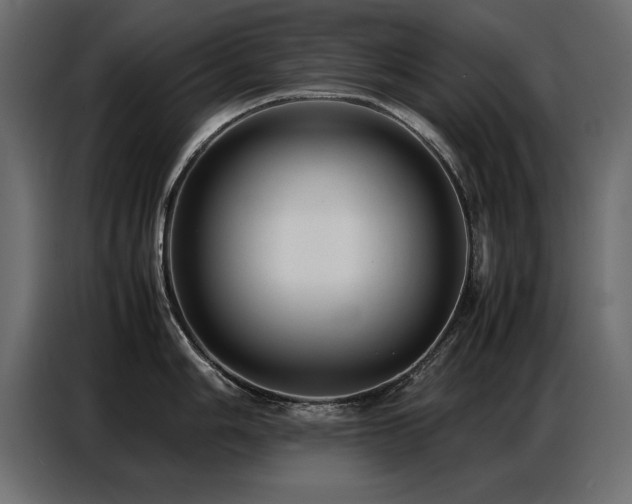 X0000087751006200705071109