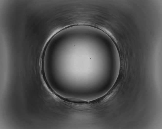 X0000087751007200705071109