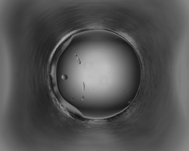 X0000087751008200705071109
