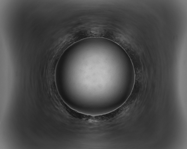 X0000087751009200705071109