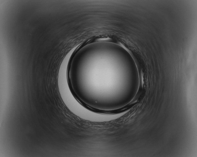 X0000087751010200705071109