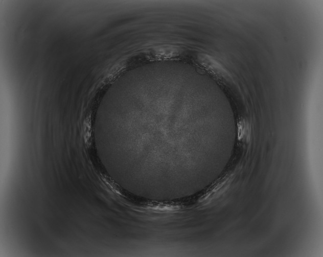 X0000087751011200705071109