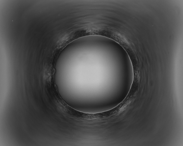 X0000087751012200705071109