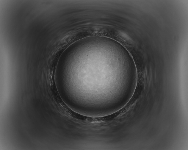 X0000087751013200705071109