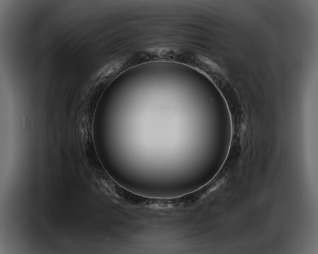 X0000087751014200705071109