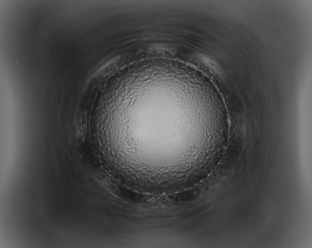 X0000087751015200705071109