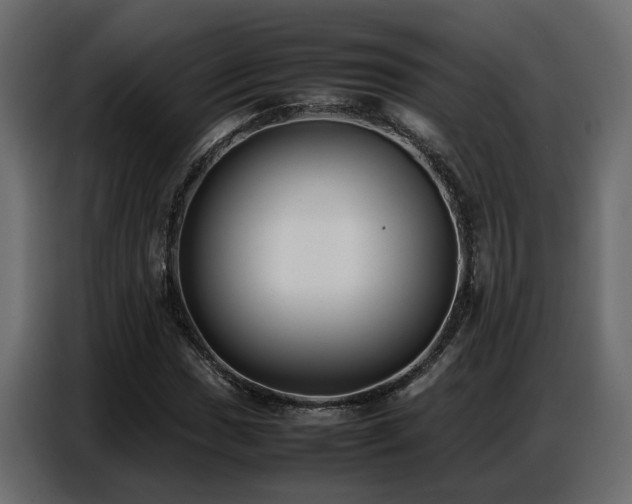 X0000087751017200705071109