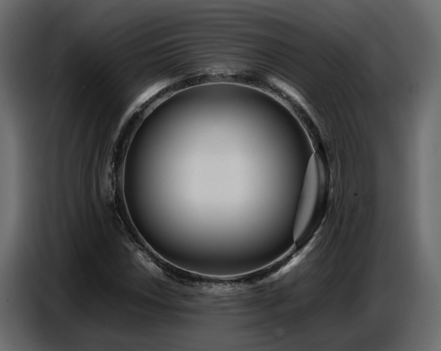 X0000087751018200705071109