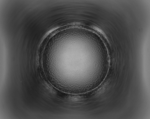 X0000087751019200705071109