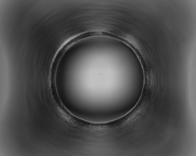 X0000087751020200705071109