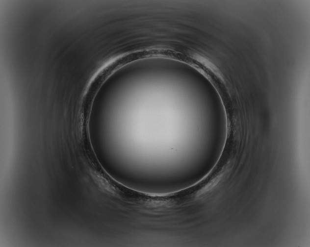 X0000087751021200705071109