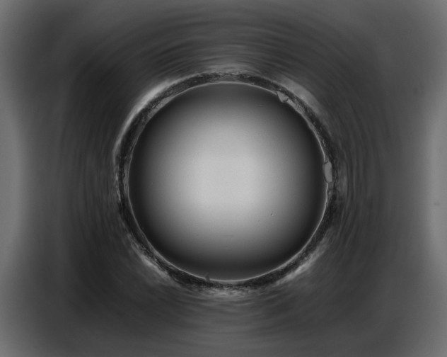 X0000087751022200705071109