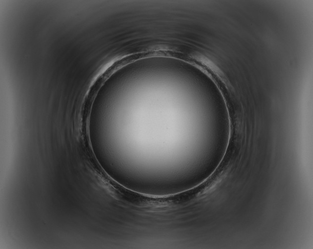 X0000087751023200705071109
