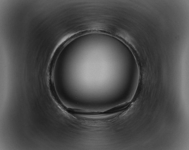 X0000087751024200705071109