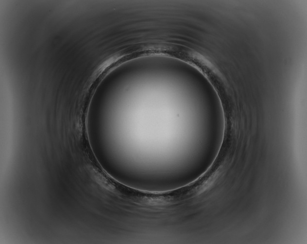 X0000087751025200705071109